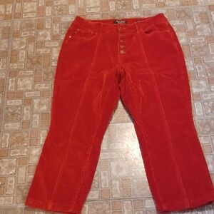 Judy Blue Rust Color Corduroy Women Jeans Size 14W Button Fly